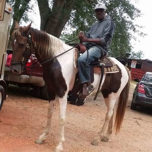 Meet your Posher, Michael